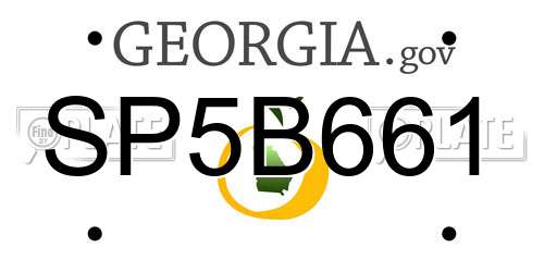 SP5B661 Georgia License Plate