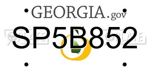 SP5B852 Georgia License Plate