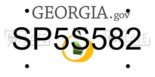 SP5S582 Georgia License Plate