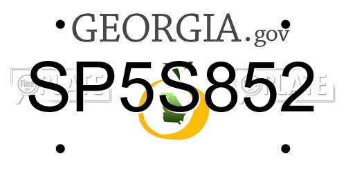 SP5S852 Georgia License Plate