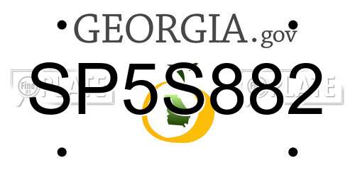 SP5S882 Georgia License Plate