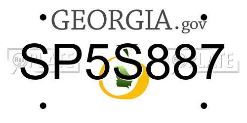 SP5S887 Georgia License Plate