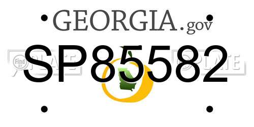SP85582 Georgia License Plate