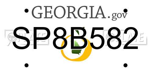 SP8B582 Georgia License Plate