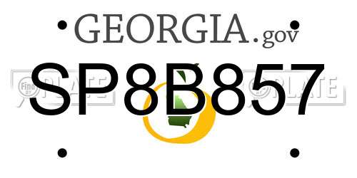 SP8B857 Georgia License Plate