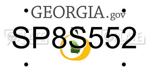 SP8S552 Georgia License Plate