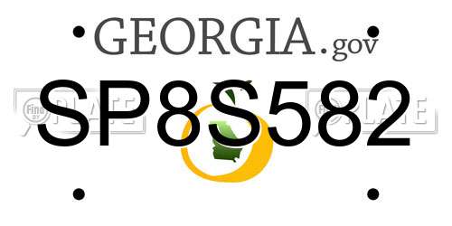 SP8S582 Georgia License Plate