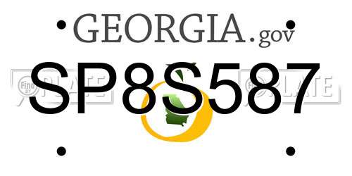 SP8S587 Georgia License Plate