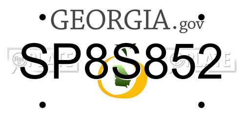 SP8S852 Georgia License Plate