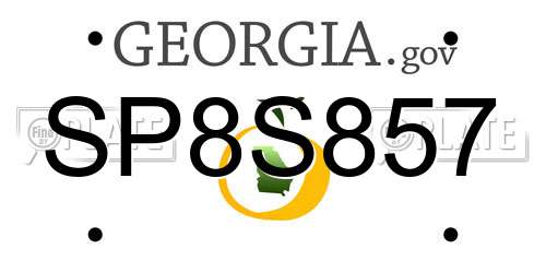SP8S857 Georgia License Plate
