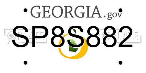 SP8S882 Georgia License Plate