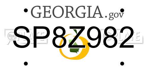 SP8Z982 Georgia License Plate
