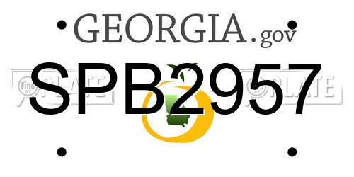 SPB2957 Georgia License Plate