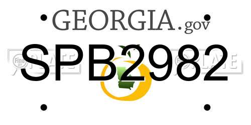 SPB2982 Georgia License Plate