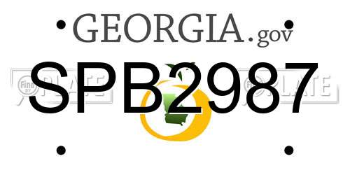 SPB2987 Georgia License Plate