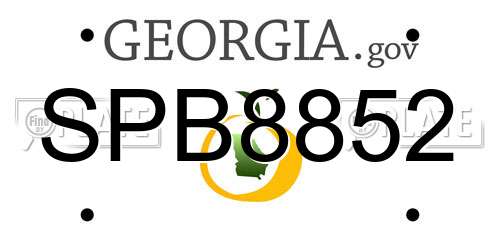 SPB8852 Georgia License Plate