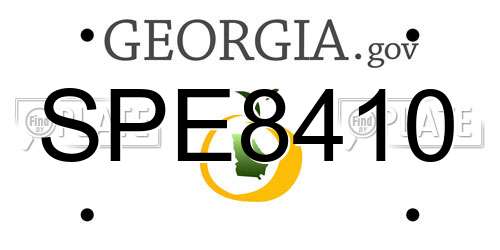 SPE8410 Georgia License Plate