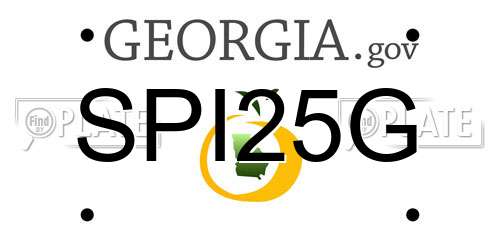 SPI25G Georgia License Plate