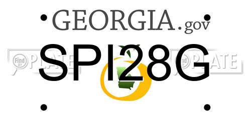 SPI28G Georgia License Plate