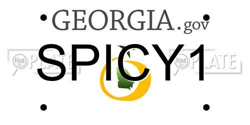 SPICY1 Georgia License Plate