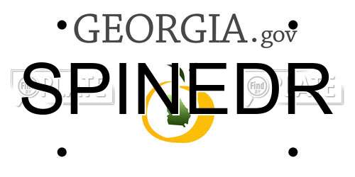 SPINEDR Georgia License Plate