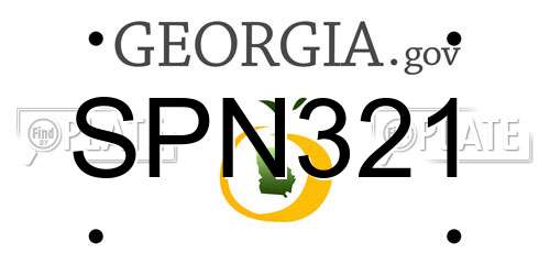 SPN321 Georgia License Plate