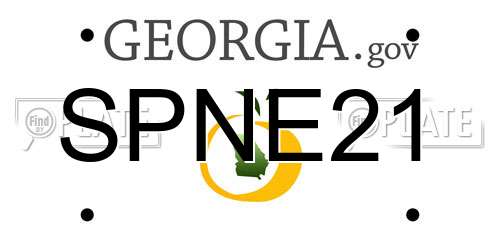 SPNE21 Georgia License Plate