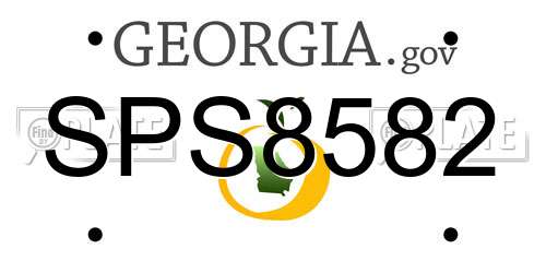 SPS8582 Georgia License Plate