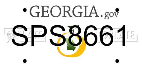 SPS8661 Georgia License Plate