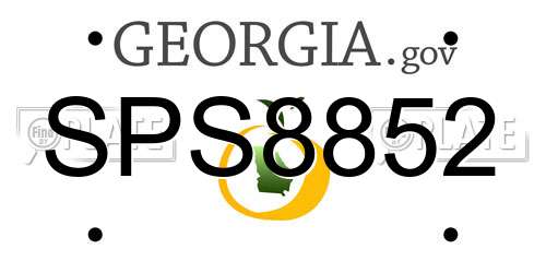 SPS8852 Georgia License Plate