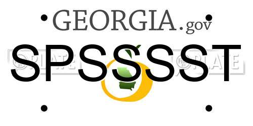 SPSSSST Georgia License Plate