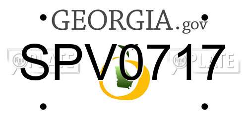 SPV0717 Georgia License Plate