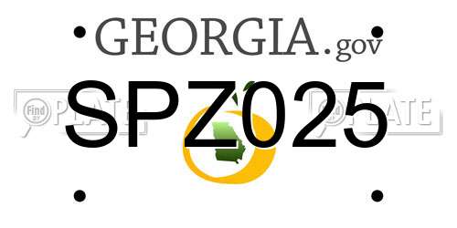 SPZ025 Georgia License Plate