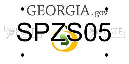 SPZS05 Georgia License Plate
