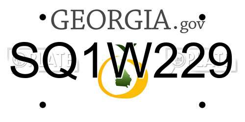 SQ1W229 Georgia License Plate
