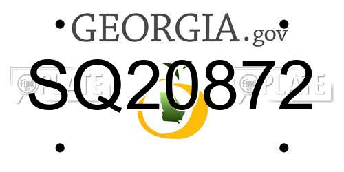 SQ20872 Georgia License Plate