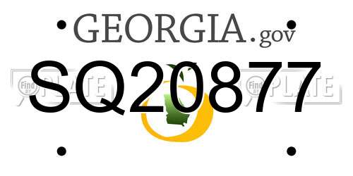 SQ20877 Georgia License Plate
