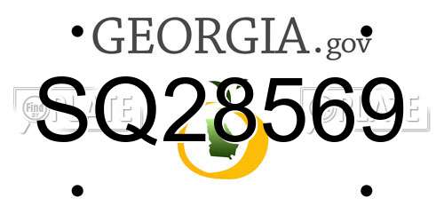 SQ28569 Georgia License Plate