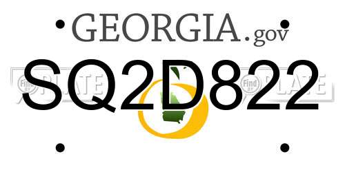 SQ2D822 Georgia License Plate