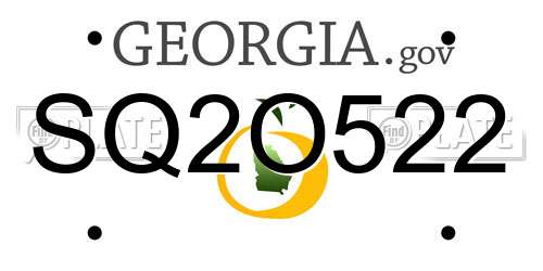 SQ2O522 Georgia License Plate