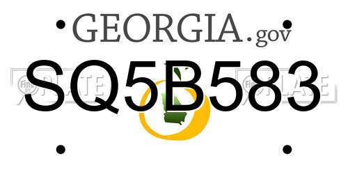 SQ5B583 Georgia License Plate