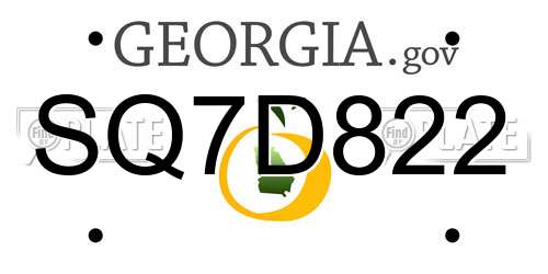 SQ7D822 Georgia License Plate