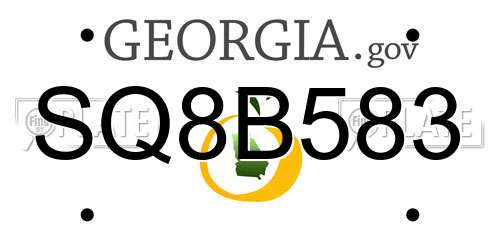 SQ8B583 Georgia License Plate