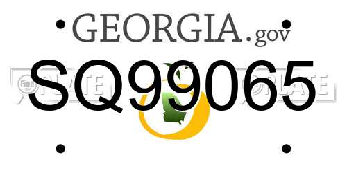 SQ99065 Georgia License Plate