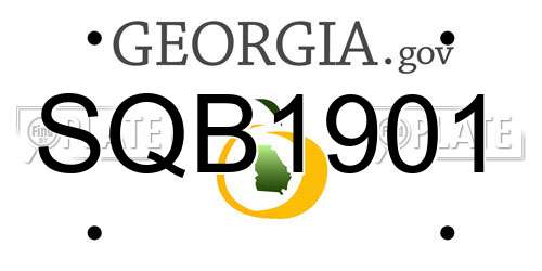 SQB1901 Georgia License Plate