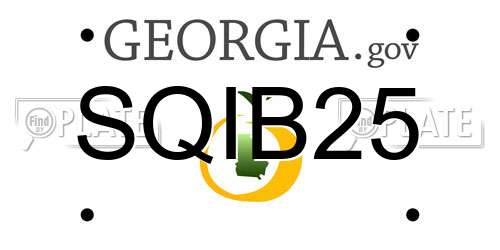 SQIB25 Georgia License Plate