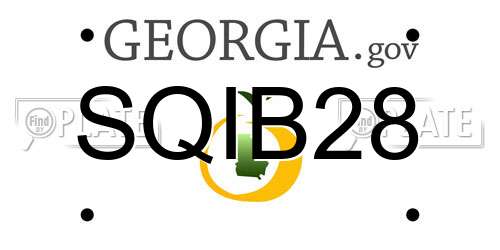 SQIB28 Georgia License Plate