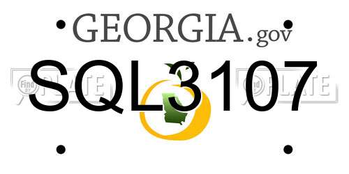 SQL3107 Georgia License Plate