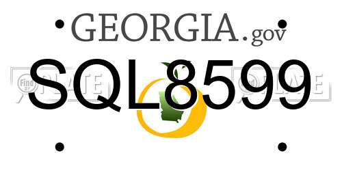 SQL8599 Georgia License Plate