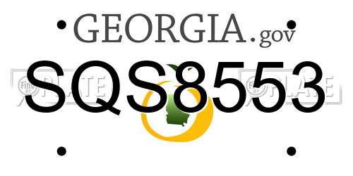 SQS8553 Georgia License Plate